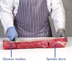 Meat Cut Spec Step 4